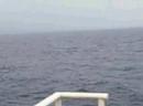Maui sunset cruise -- with whales! Maui sunset cruise -- with whales!