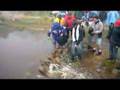 VOLVIENDO-DE-CONDOR-