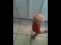 Mack circling the kitchen