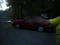 Mustang 5.0 doughnut