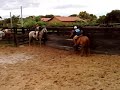 alisson bahia vaquejada