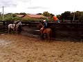 alisson bahia vaquejada