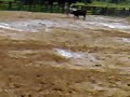 alisson bahia vaquejada