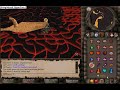 Hally Vs. Jad Hally Vs. Jad