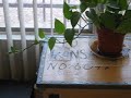 My Plant