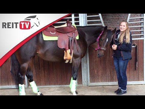 Westernreiten lernen: Der Westernsattel - Westernserie Teil 1