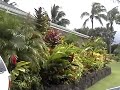 Princeville Short Sale - New Custom Home