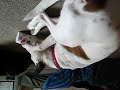 buster and the lebane tub, part 3