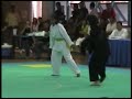 Way Of The Silat Tanding Macan Pasrah