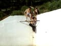 Amigos en la piscina 3� parte