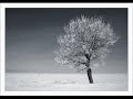 video with random photography and music by lisa standfield.