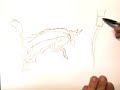 Time-lapse Drawing of Picasso's Picador