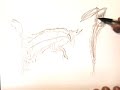 Time-lapse Drawing of Picasso's Picador