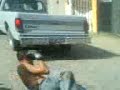 Las tres caidas por la bomi.3GP