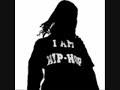 Lil Wayne - Paper Planes [WeeZ]