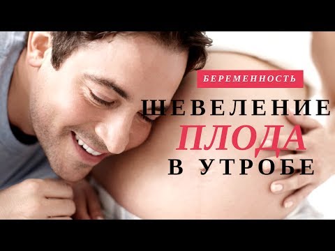 Видео: 5riMiYqjxxY