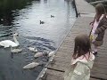daffodil and mei mei at fort augustus canal