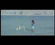 Nenu Ninnu Ishtapadindi Video song from Jagapathi Movie
