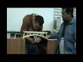 Prueba en laboratorio, los demas puentes se rompen