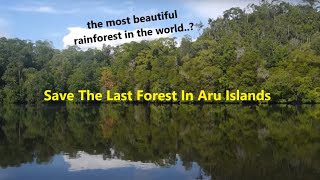 Save The Last Forest In Aru Islands with English sub