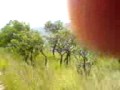 Serra da Canastra - Its Sunny but cloudy inside.