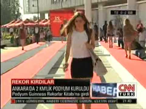 sebnem schaefer
