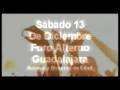 videos de tiesto-para-pantallas