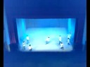 Saggio 2007/2008 della scuola di danza 