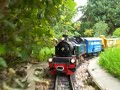 LGB Mallet following cam-train in garden