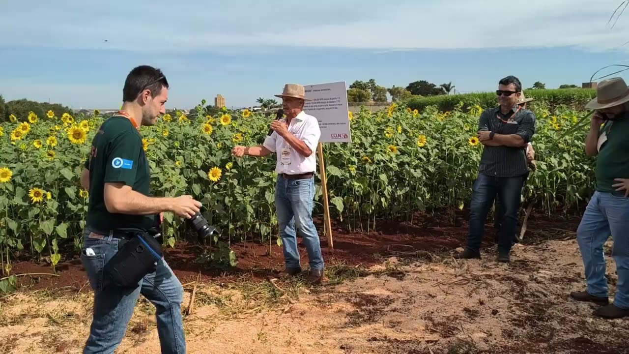 🌱 MEIOSI segue como uma ótima estratégia, com vantagens econômicas e agronômicas