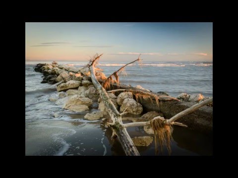 Immagine anteprima YouTube