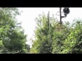 Ferrovia abbandonata-bivio Carpenedo bivio Trivignano