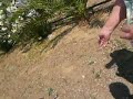 Racconto di Cannesisa com\