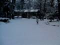 Its snowing!! :)