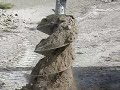 ahoyadora