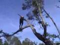 Escatawpa River Mississippi Jump