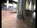 Alewife Rain Alewife Rain