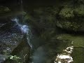 Natural Rock Bridge Hocking Hills, Ohio