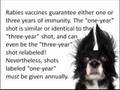 Vaccinating Dogs: What Your Vet Hasn't Told You