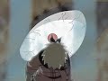 Naruto/Kyubbi {Red-Let Go} BETA