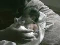 NICU Kalani 3 NICU Kalani 3