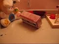 Cloie (Eclectus) playing on the bathroom counter Cloie (Eclectus) playing on the bathroom counter