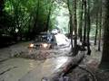 videos de Water splash at London Lane