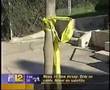 Newark NJ DEADLY VIOLENCE