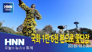 국화 1만 6천 본으로 꽃단장