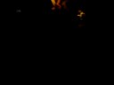 Midnite 