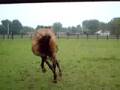 Spirit Running
