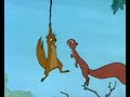 Video anschauen