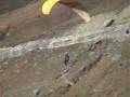 videos de Paragliding in Manali