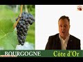 les plus grands rouges c�toient les plus grands blancs. beaucoup de nom font r�ver les amateurs � leurs lectures sur les cartes des vins. c'est le royaume du chardonnay et du pinot noir qui ont trouv�s dans cette r�gion un paradis in�galable.
vous pouvez consulter l'int�gralit� du cours de jean-michel deluc et voir une vid�o de meilleure qualit� sur le site web de l'acad�mie du vin.
http://academieduvin.fr/cours_vins_apprendre_f02_vin_bourgogne.php